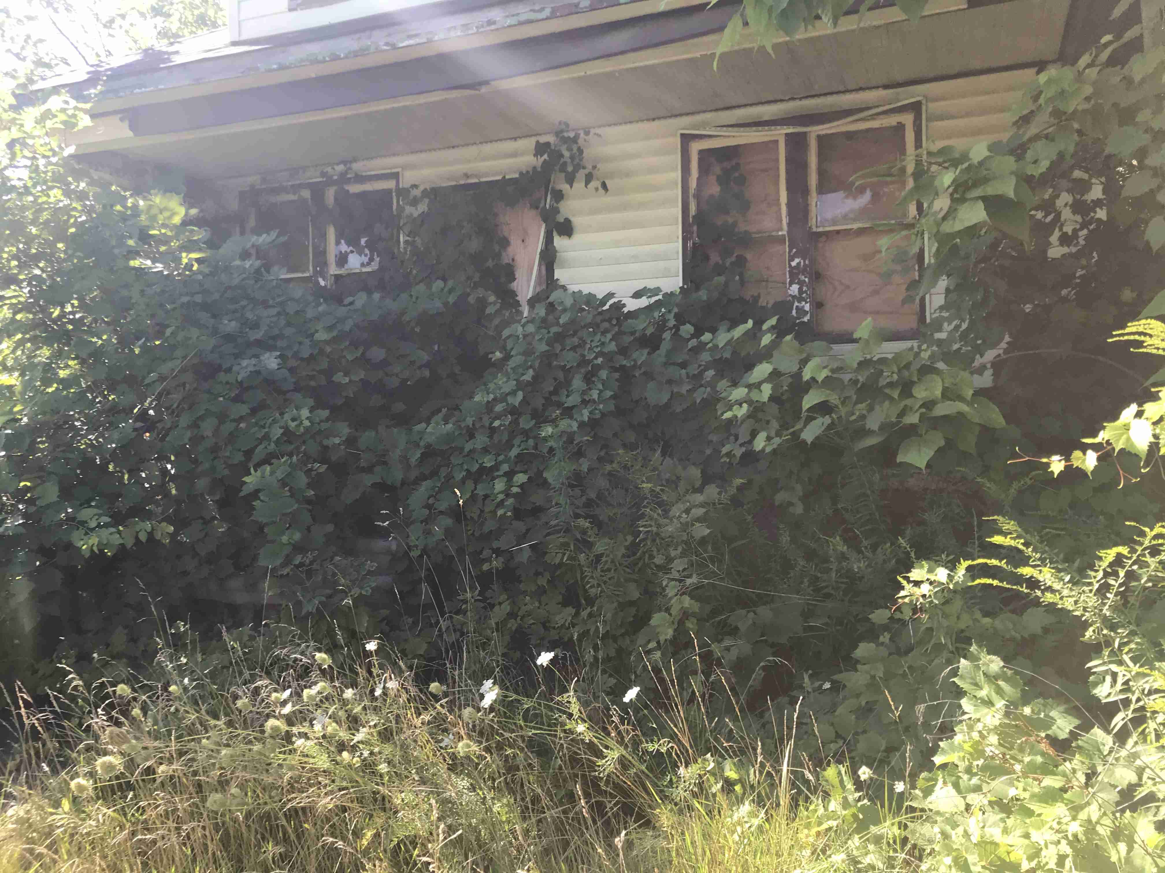 Photo Aug 20, 10 23 58 AM.jpg